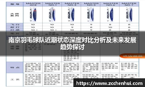 南京羽毛球队近期状态深度对比分析及未来发展趋势探讨