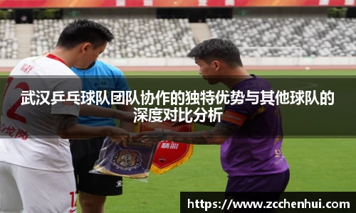 武汉乒乓球队团队协作的独特优势与其他球队的深度对比分析